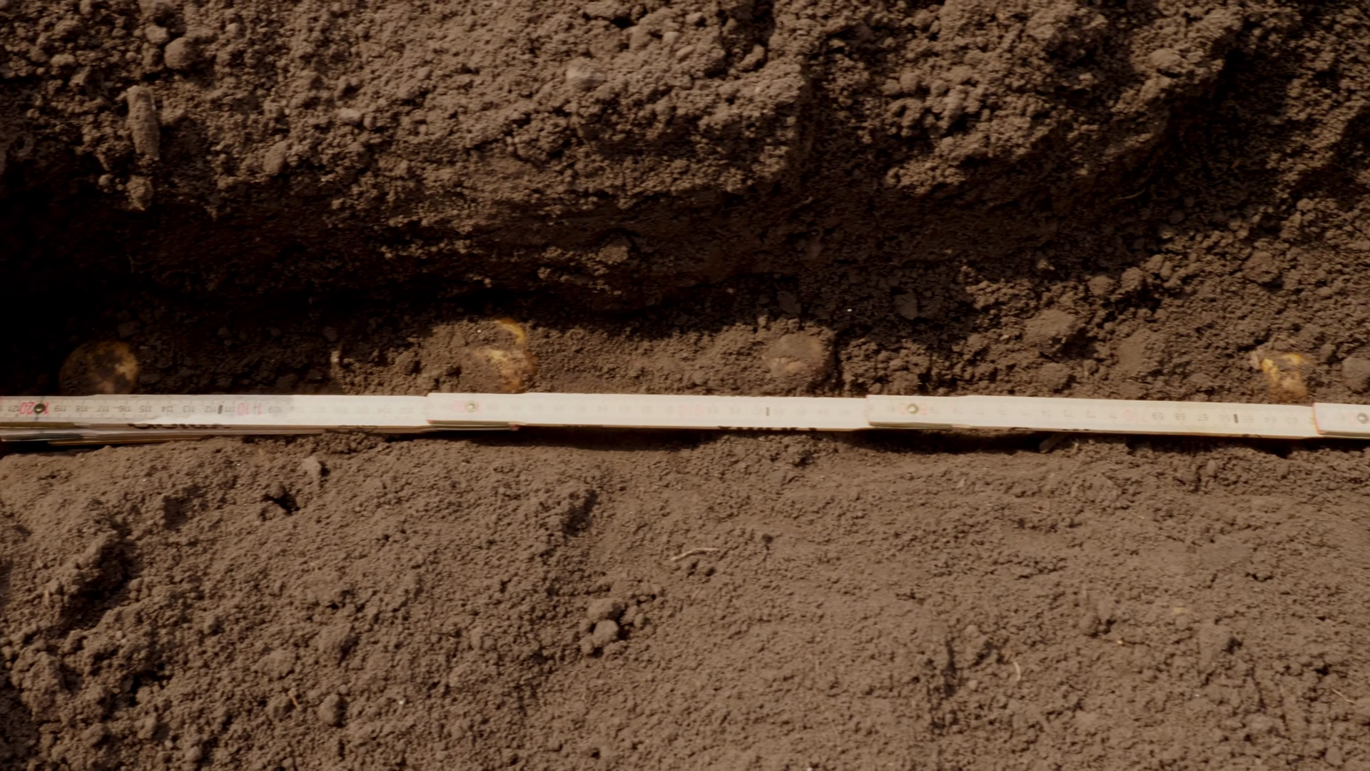 Closeup Of Measuring Ruler In Soil Furrow Stock Footage SBV-353573621 ...