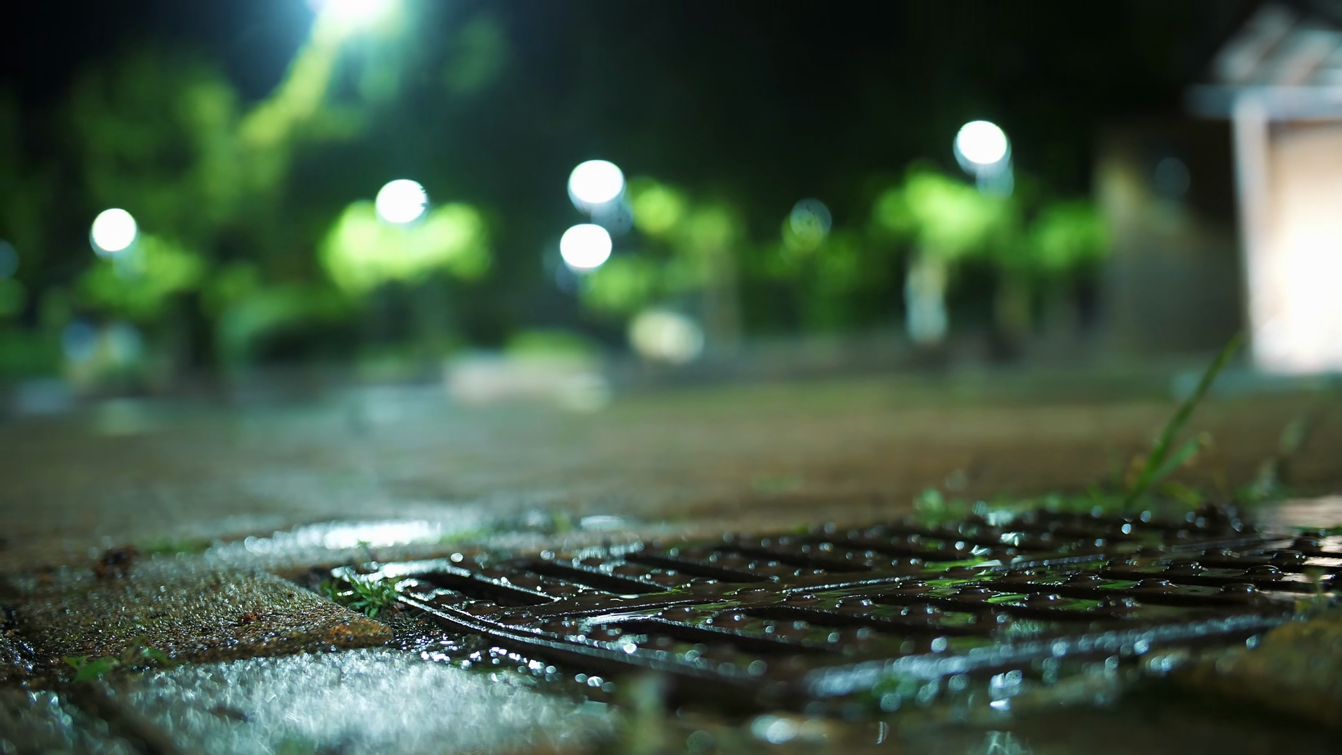 Streams Of Rainwater Flowing Into Storm Stock Footage SBV-353770534 ...