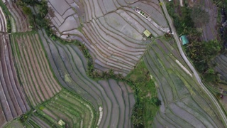 Aerial Drone View of Jatiluwih Rice Terrace in Bali Indonesia - UNESCO Cultural Heritage Rice Fields