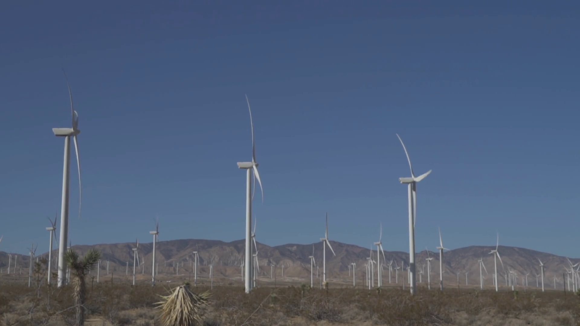 California Alta Wind Energy Center Mojave Stock Footage SBV334033348