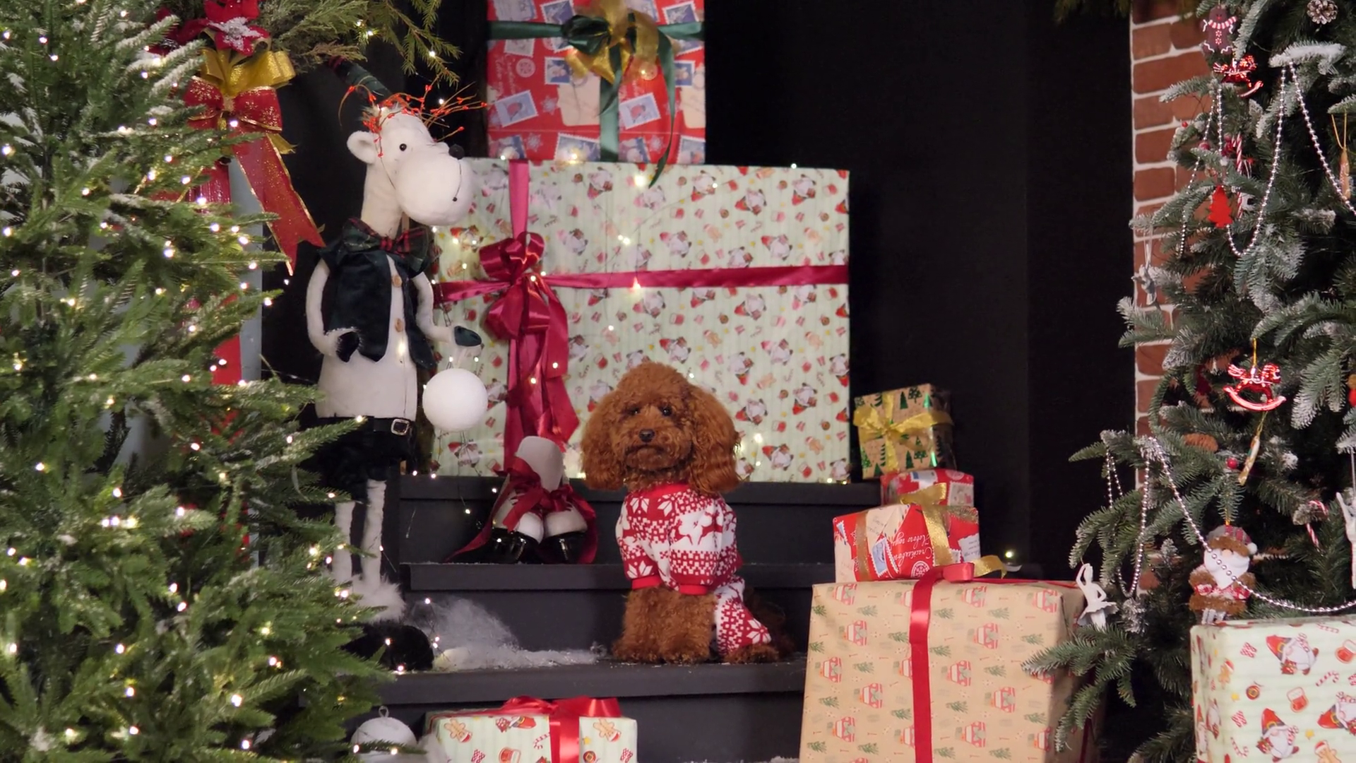 Christmas Scene With Beautifully Wrapped Stock Footage SBV-352972290 ...