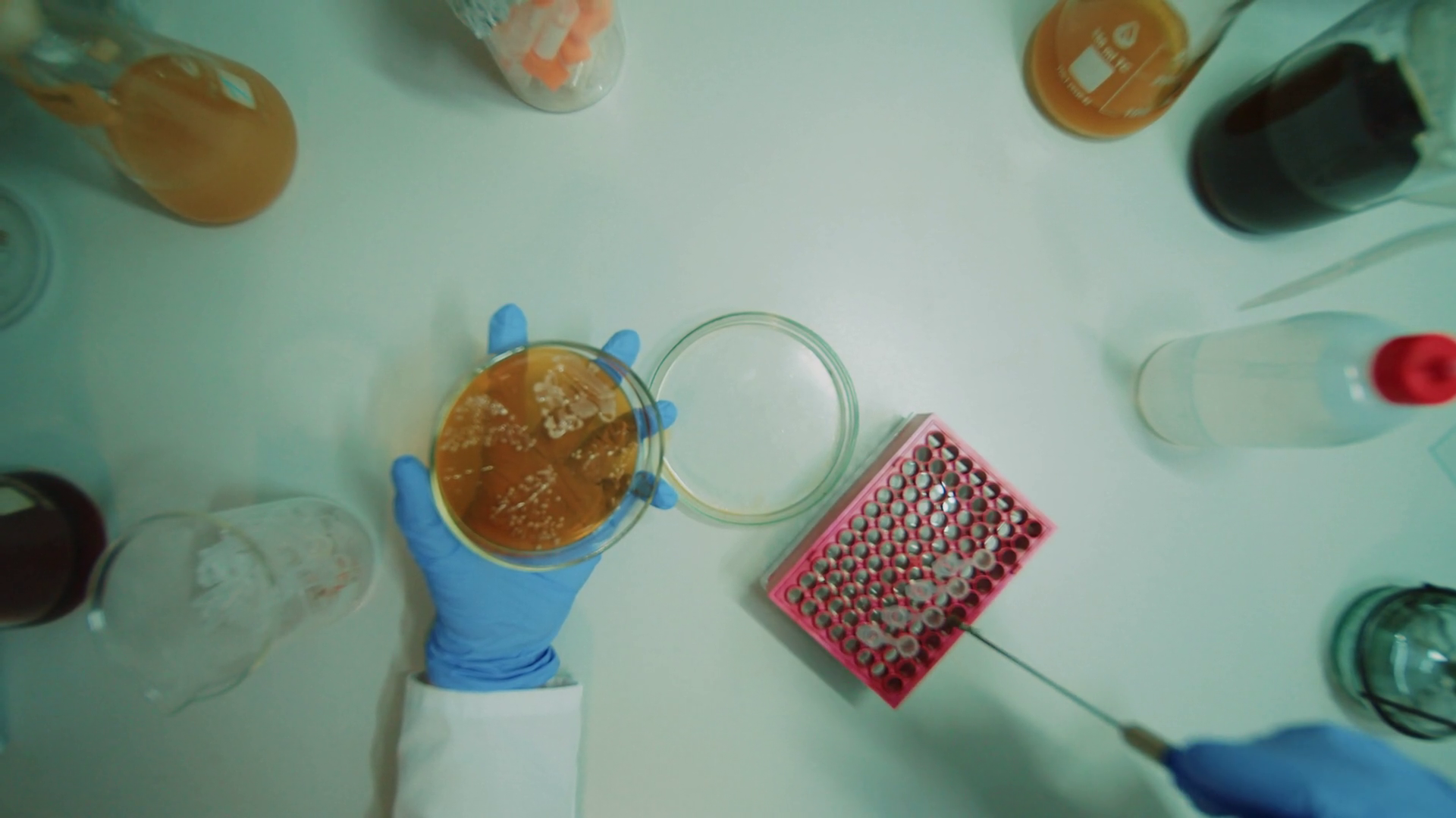 Footage Of Research Test Tubes In Modern Stock Footage SBV-352226575 ...