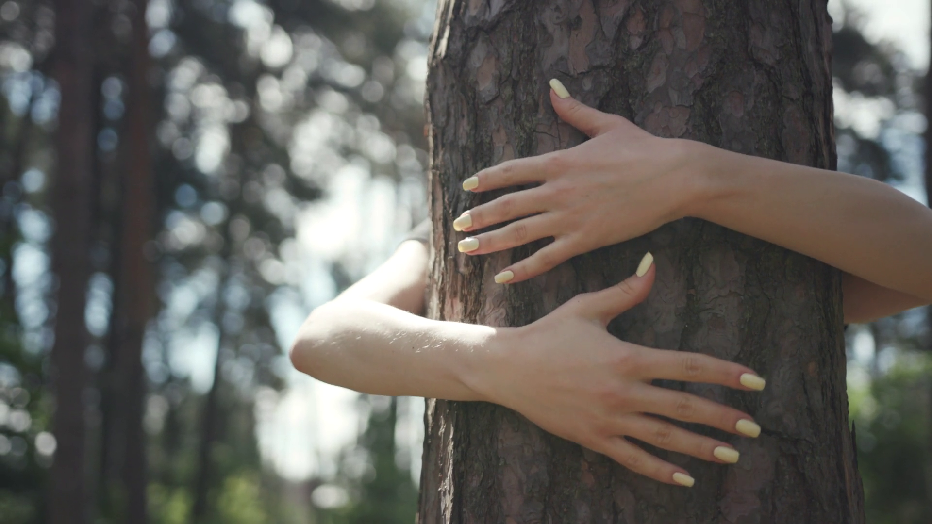 Young Happy Woman Hiding Behind Tall Tree Stock Footage SBV-352188592 ...
