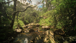 Serene forest collection, Calm natural environment showing botanist collecting samples beside tranquil creek