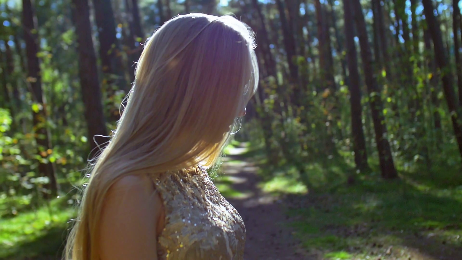 The Girl In The Woods The Girl in the Woods Stock Video Footage - Storyblocks
