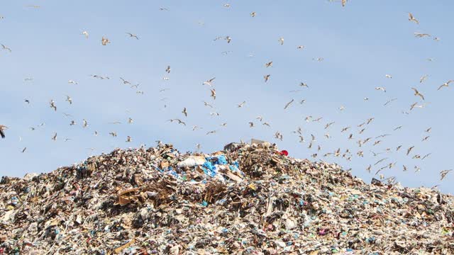 Mountain Of Cardboard Boxes Top Down Overflowing Trash Bags City Street ...