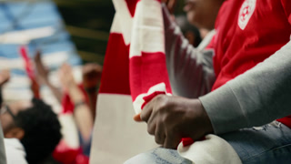 Loud stadium crowd of soccer fans waving scarves and cheering, live football match filled with anticipation and emotional fan reactions