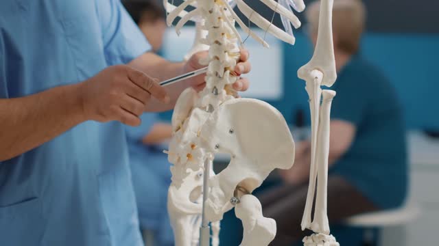 Spinal Cord Stock Footage: Royalty-Free Video Clips - Storyblocks