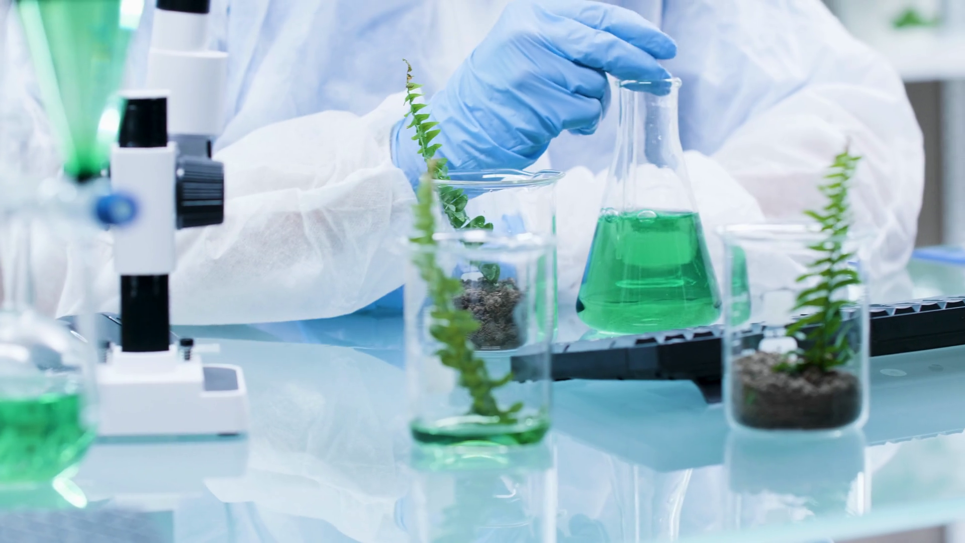 Chemist making experiments with GMO on plants. Close up footage Stock