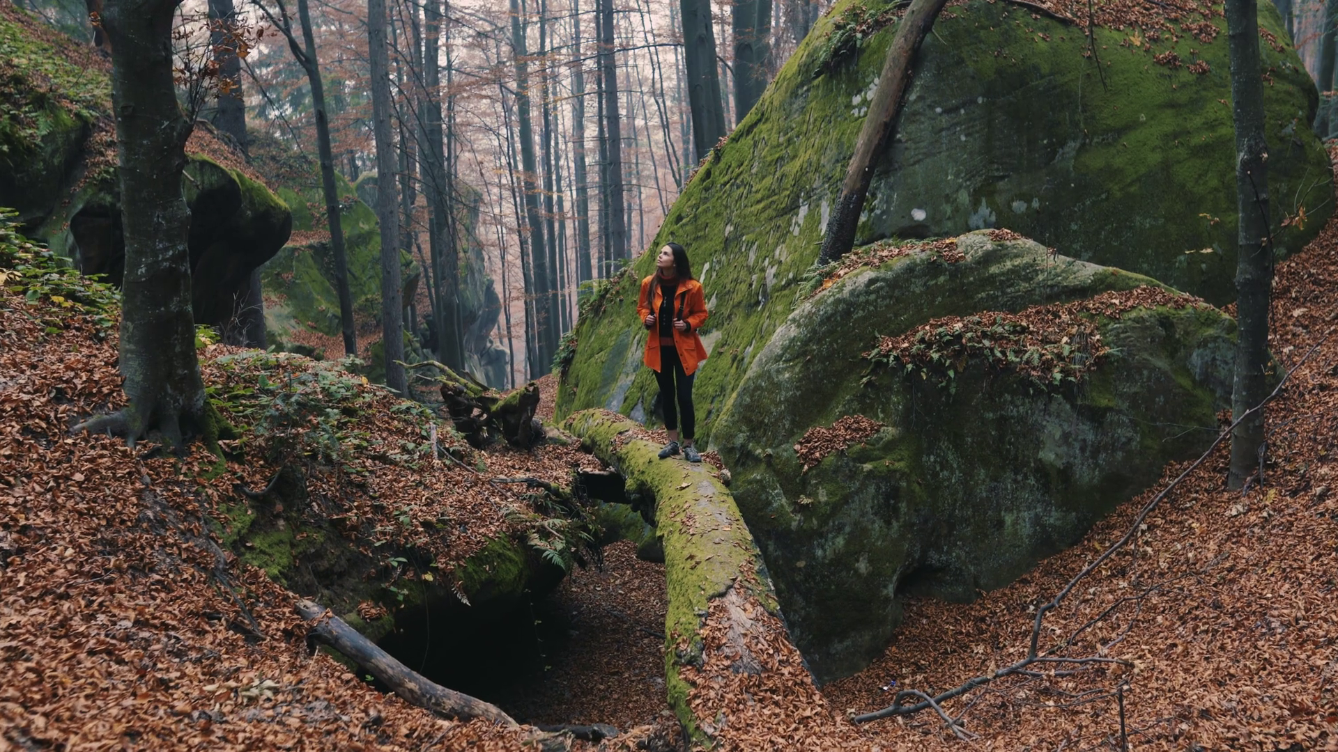 Girl walking in the rocky autumn forest look around a lot tree freedom