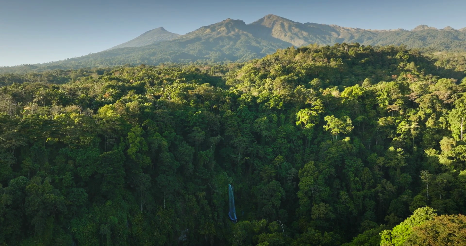 Lombok Indonesia: Lush Green Rainforest Stock Footage SBV-352938221 ...