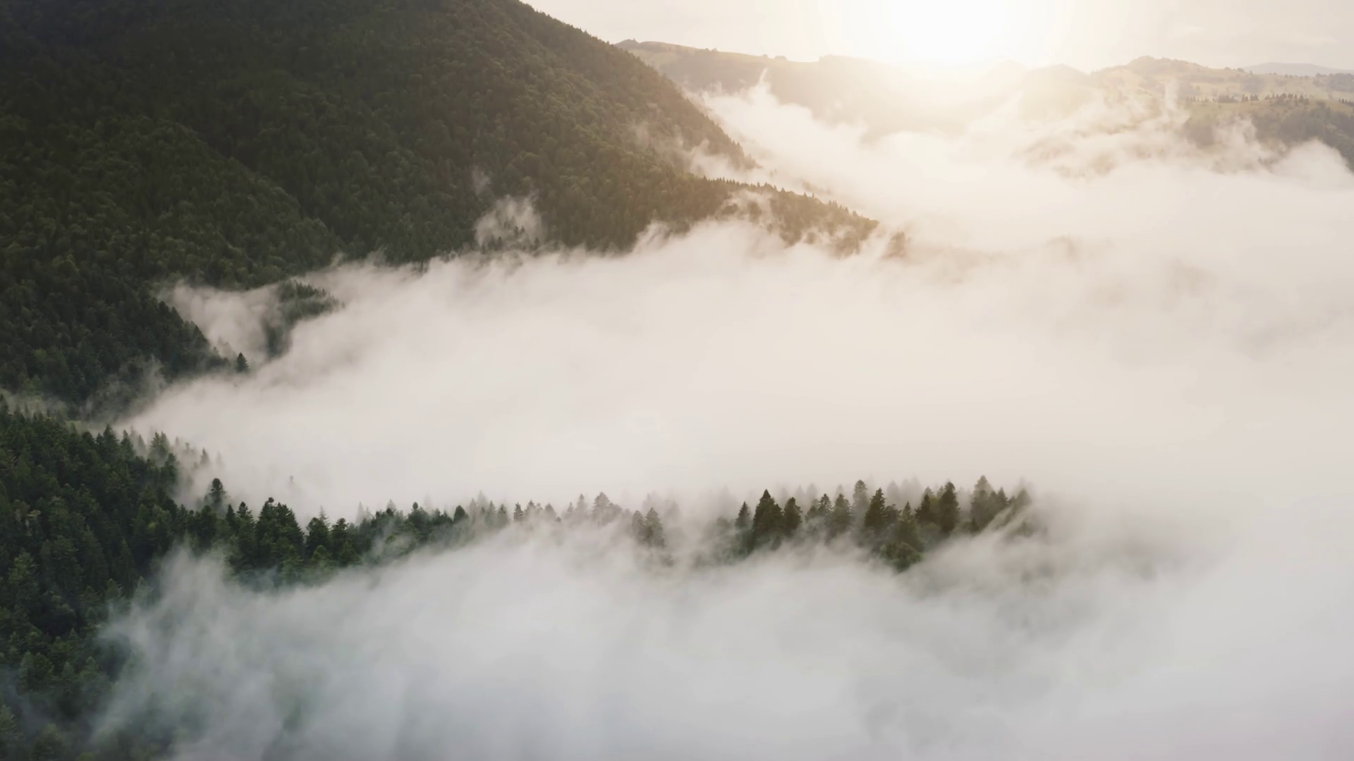 Aerial View Of Autumn Nature Landscape Fog Stock Footage SBV-348797898 ...