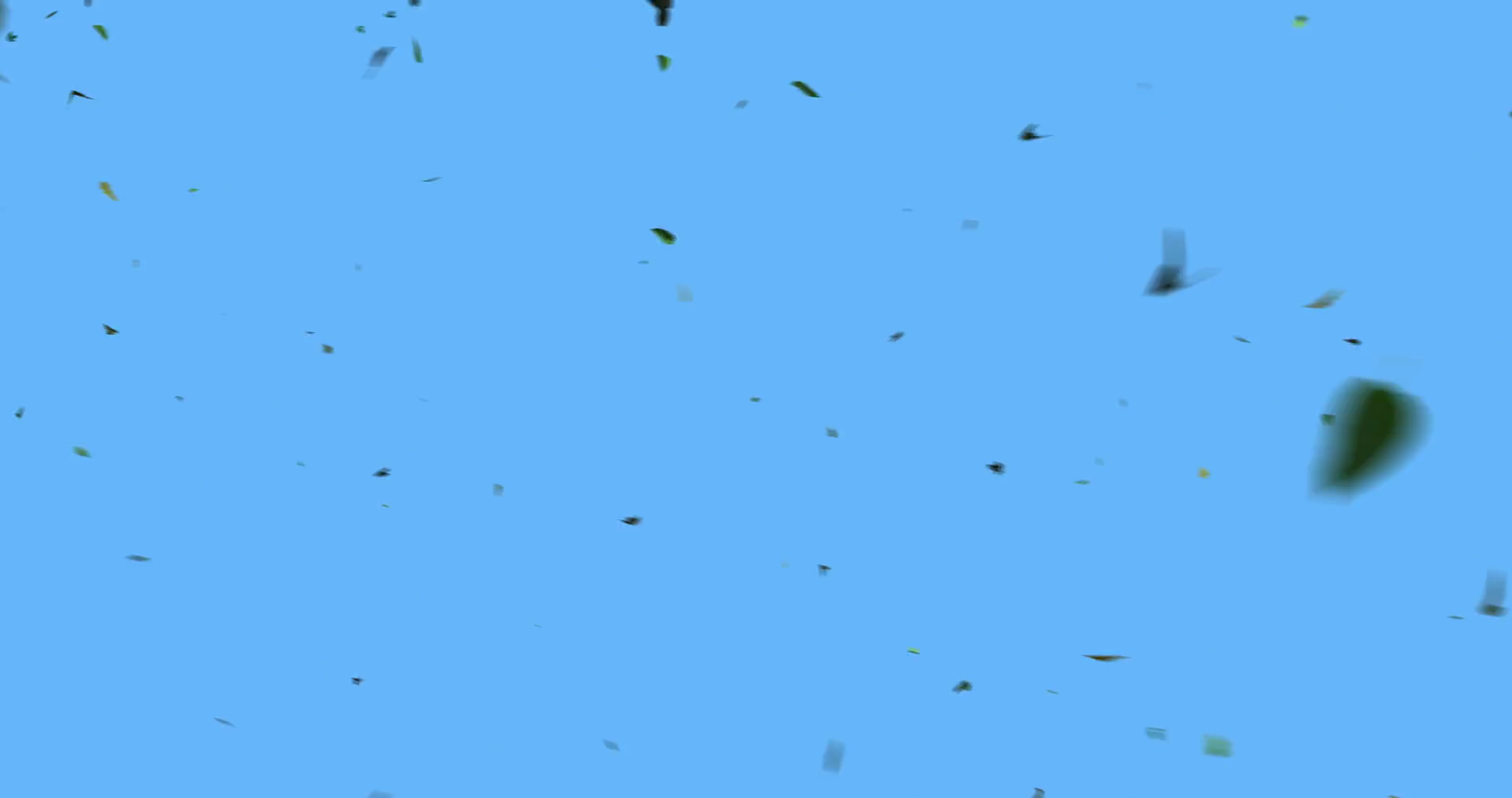 A Variety Of Leaves Blowing In Strong Wind Stock Motion Graphics SBV347244421 Storyblocks