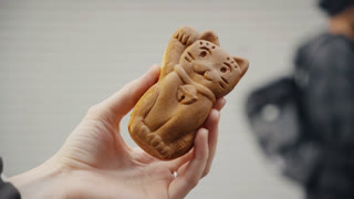 Person holding a maneki-neko shaped japanese pastry