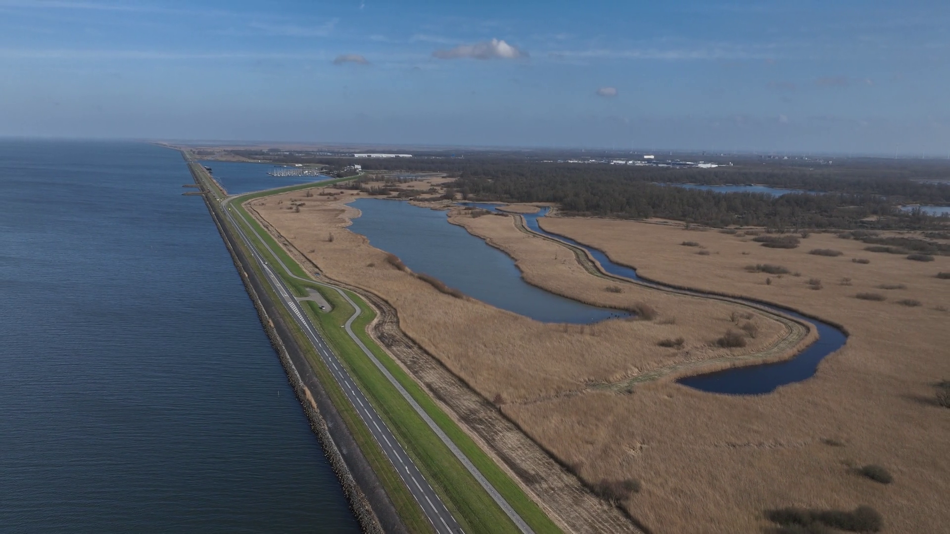 Large Marsh Area With Reed Plains Rough Stock Footage SBV-351893790 ...