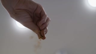 Professional chef adding spices to a pan with a dish, close-up