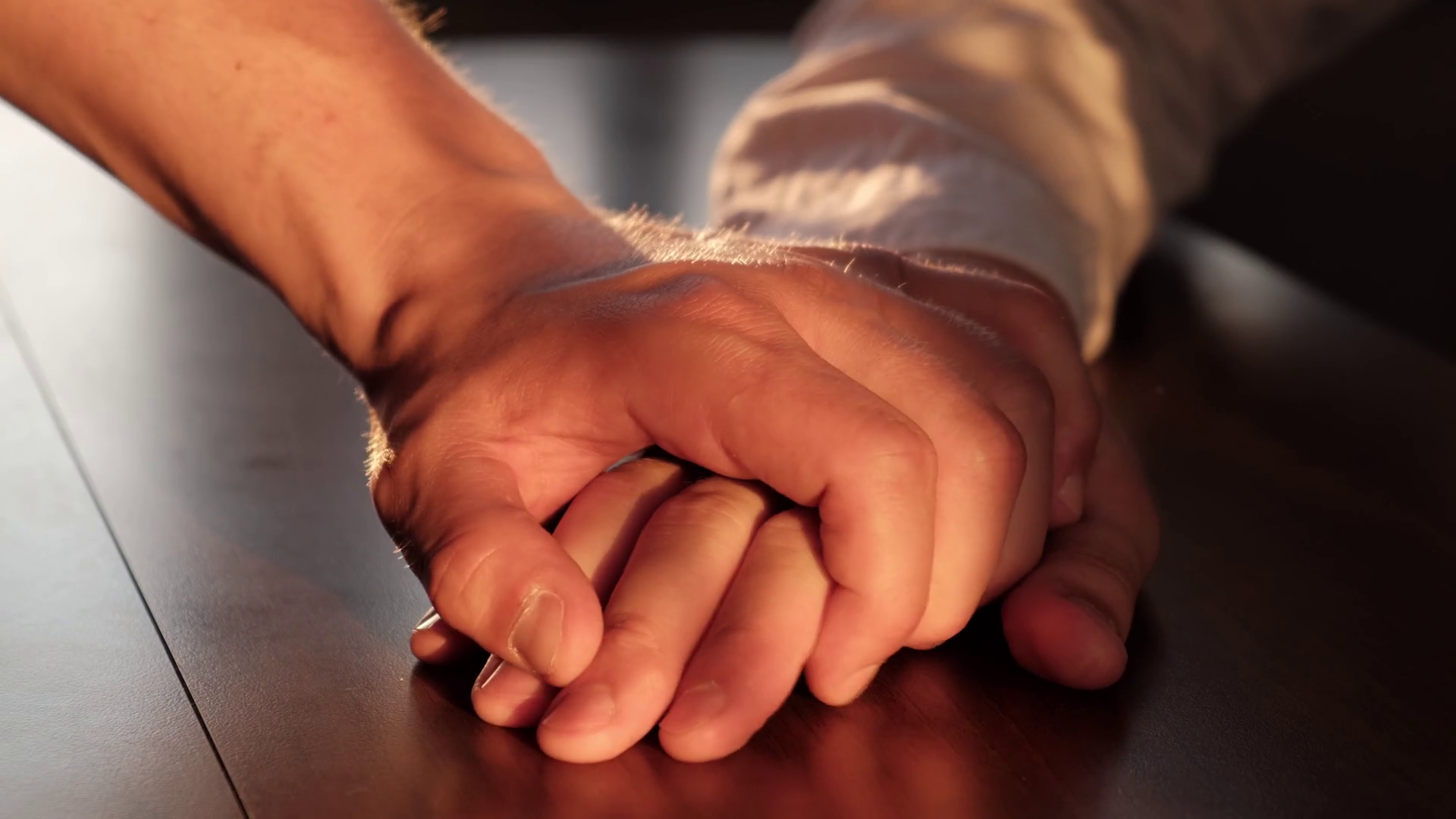 Рука на столе. Женская рука гладит котенка. Hand stroking. Hand stroking. Hand stroking.