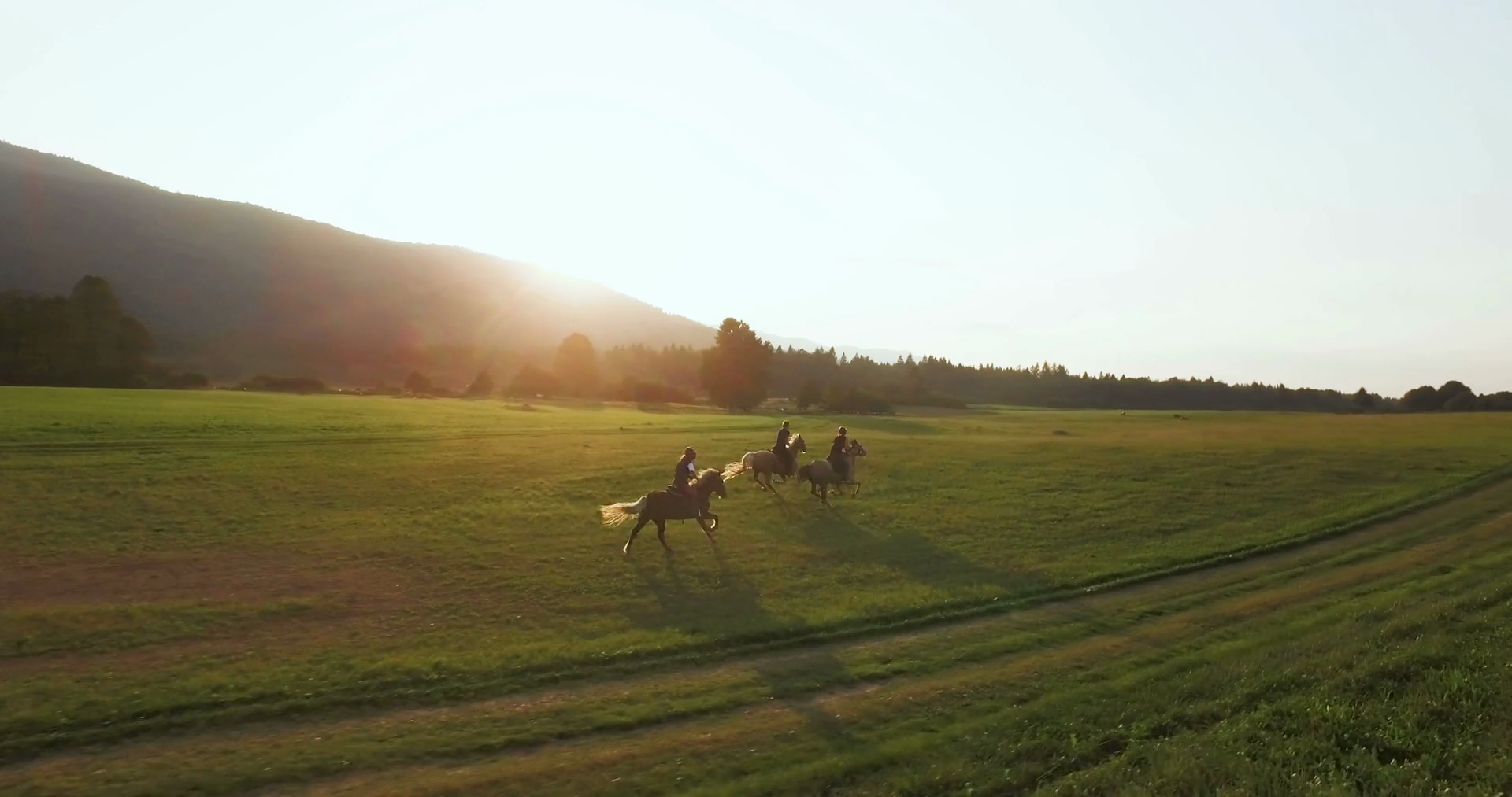 Horseback Riding Gallop In A Sunset Stock Video Footage 0016 SBV