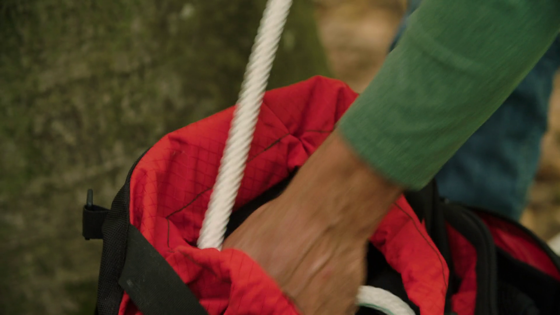 Closeup Insert Conservationist Repacks Tree Stock Footage SBV