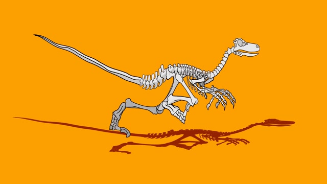Animated Dinosaur Stock Footage: Royalty-Free Video Clips - Storyblocks