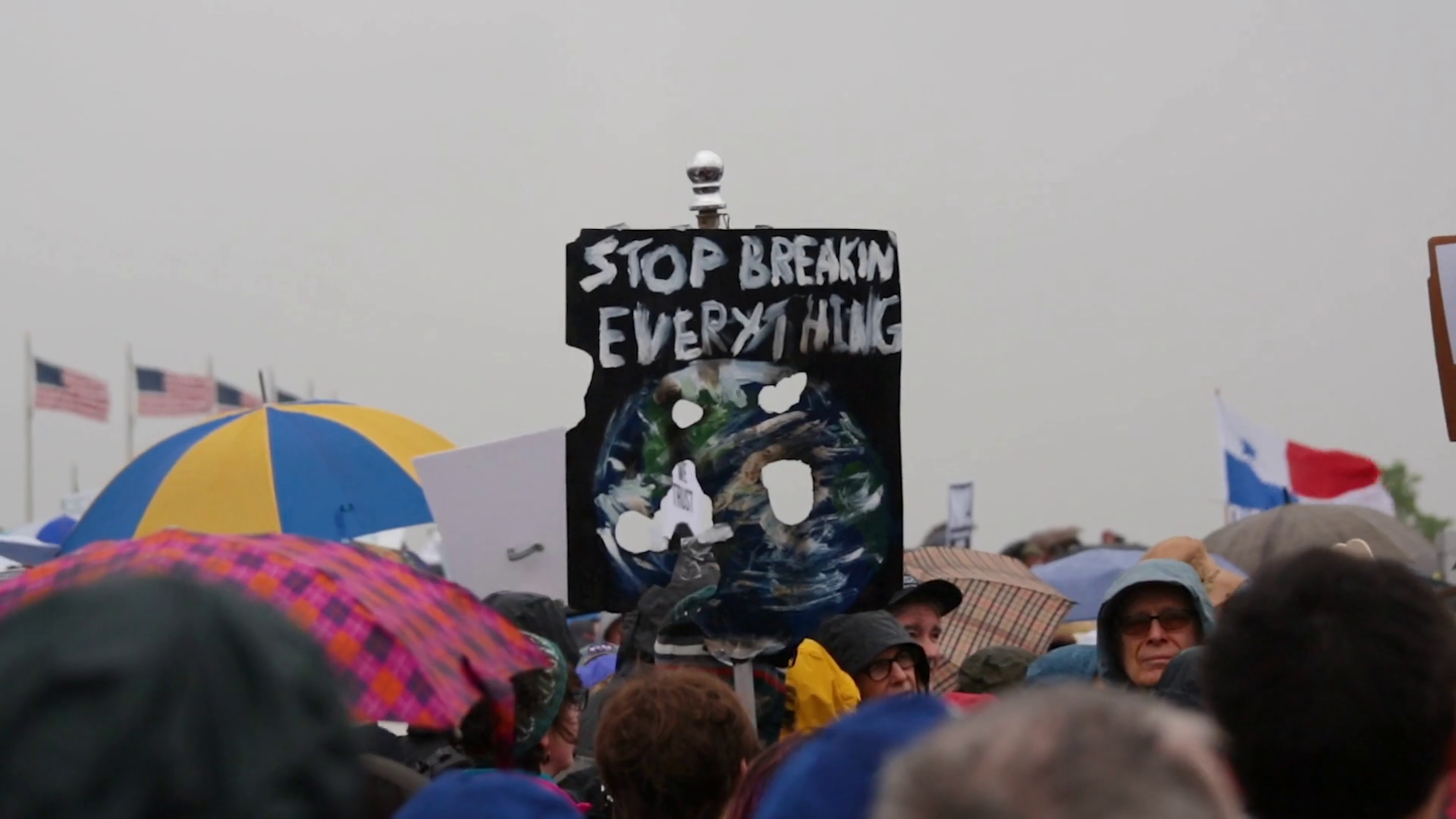 Protestors Hold Signs Umbrellas At 2017 Dc Stock Footage SBV324556358
