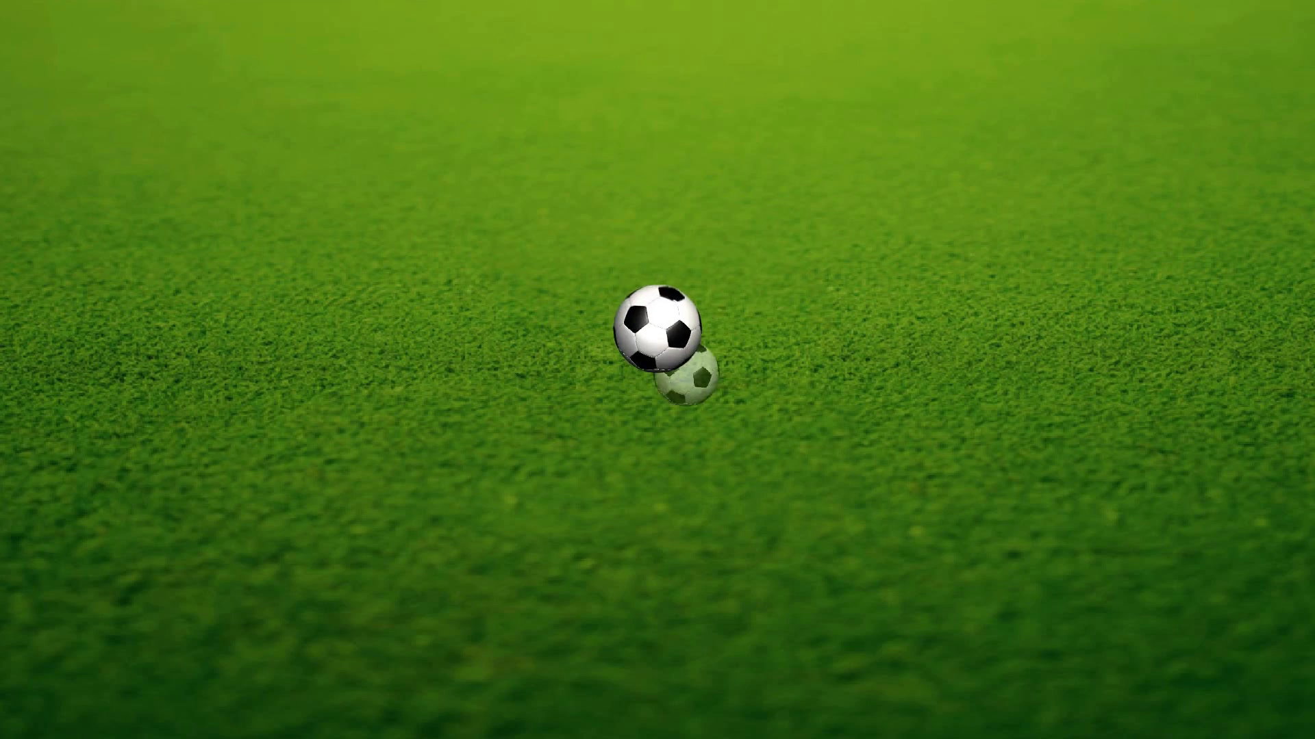 Animation Of Soccer Ball Stock Motion Graphics SBV300265571 Storyblocks