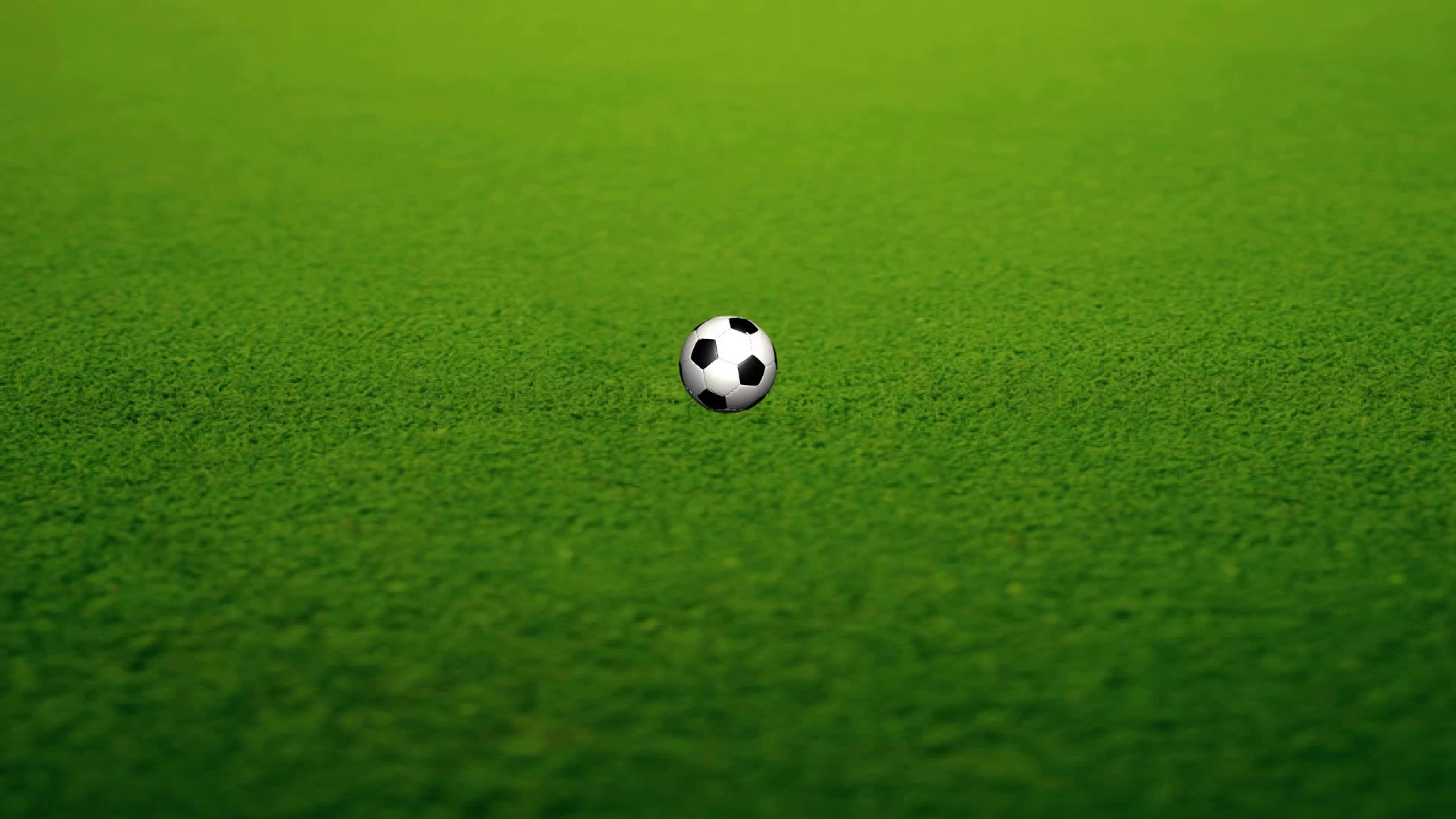 Animation Of Soccer Ball Stock Motion Graphics SBV300265573 Storyblocks