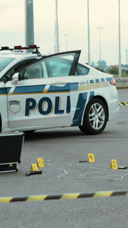 Collaborating with a Forensic Expert and Photographer for thorough Crime Scene Investigation