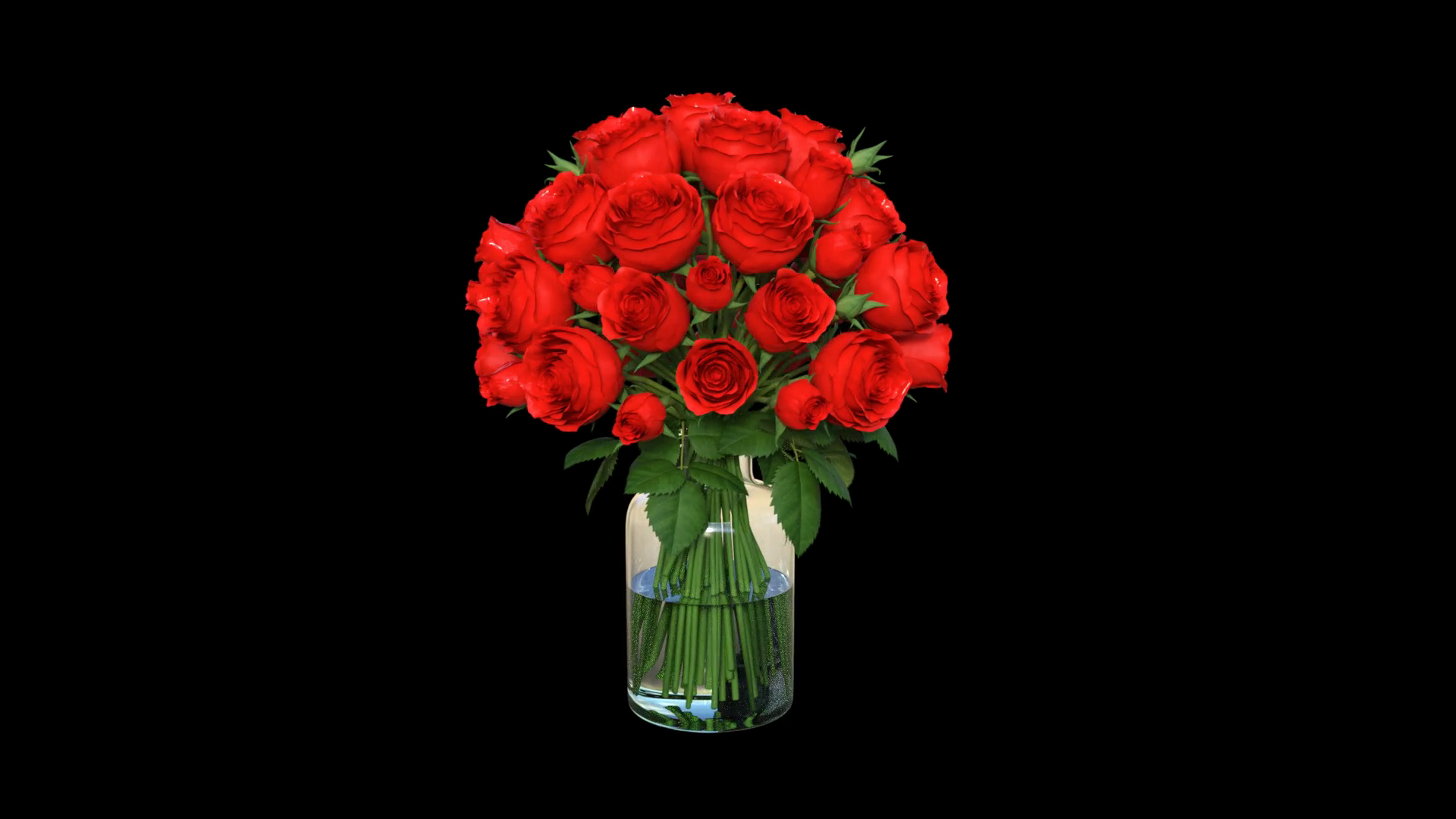 A Bouquet Of Roses In Vase With Water Stock Motion Graphics SBV