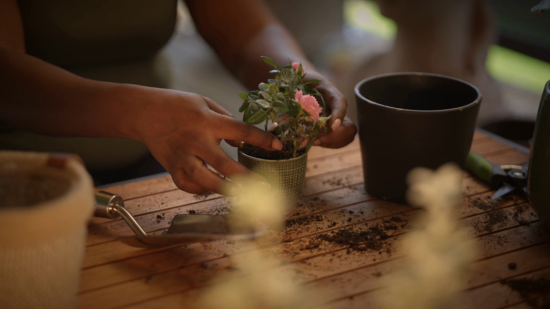 Engaging In Indoor Gardening Joy Of Planting Stock Footage SBV ...