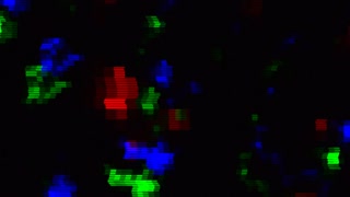 researcher captures vivid microscopic images of fluorescent cells or particles