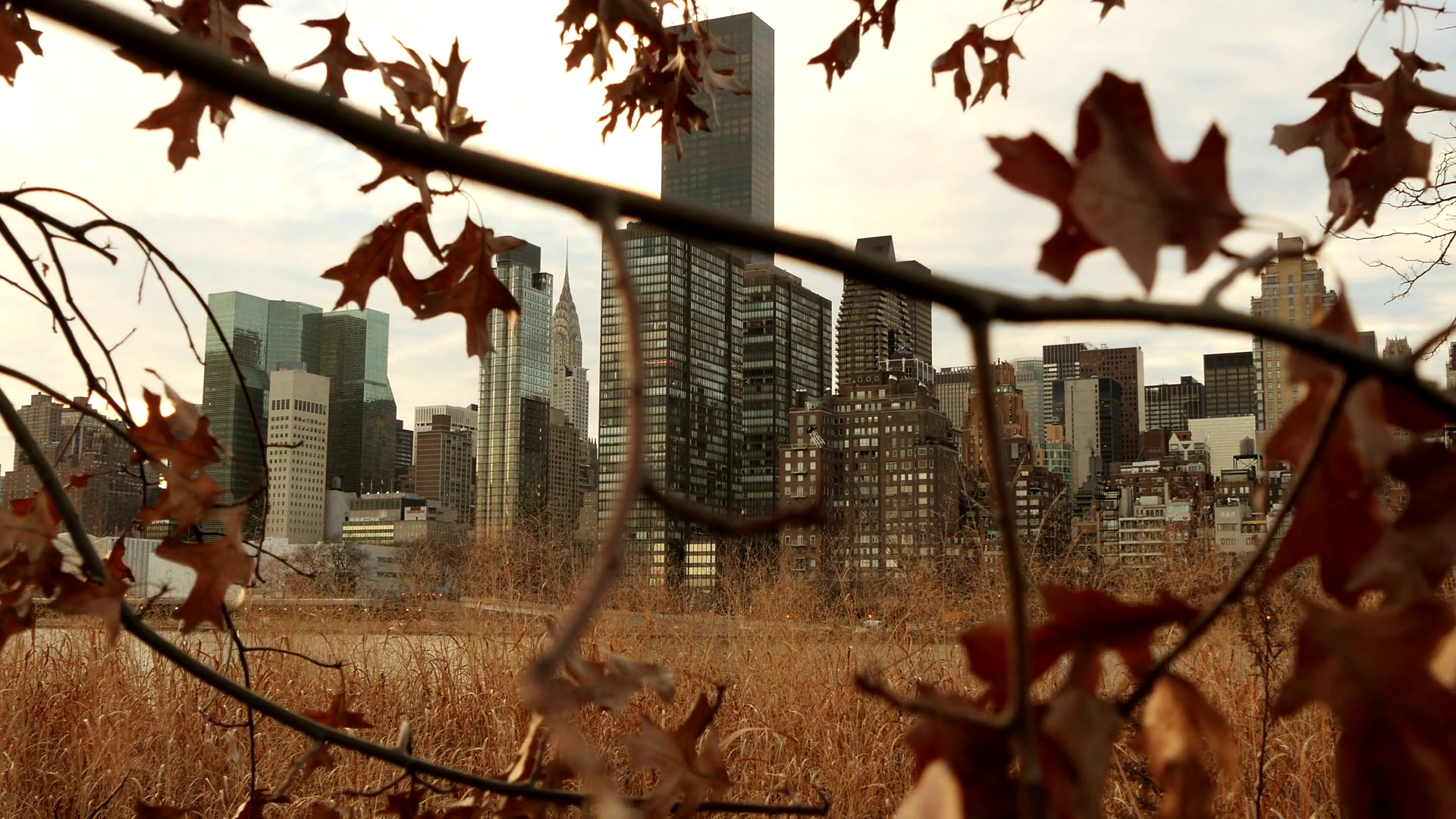 Urban City Skyline Metropolis Buildings Stock Footage SBV-348405213 ...