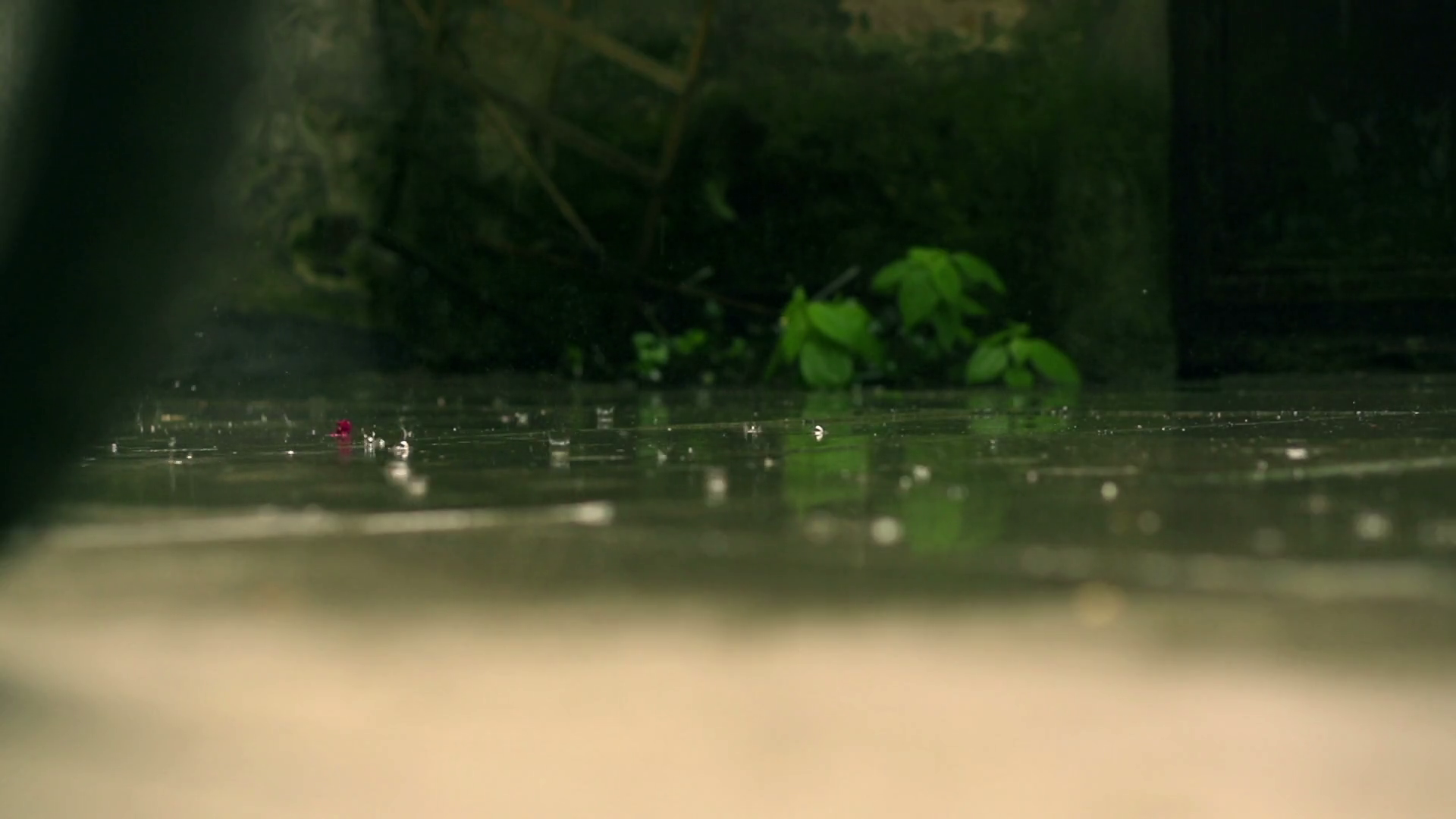 Raindrops Falling On Pavement Slow Motion Stock Footage SBV301172083