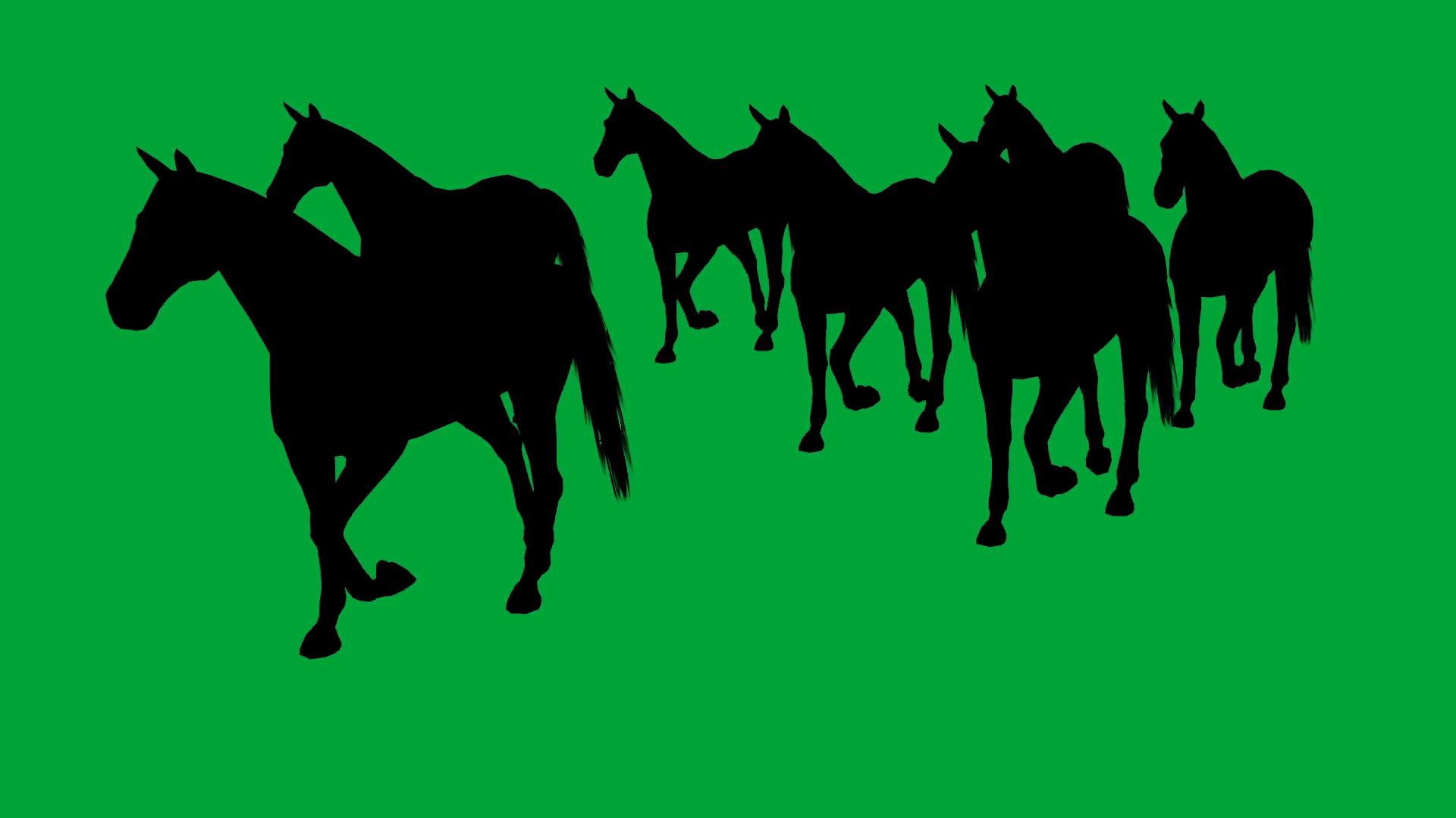 3d animation of horses galloping separated on green screen Motion Background 0012 SBV