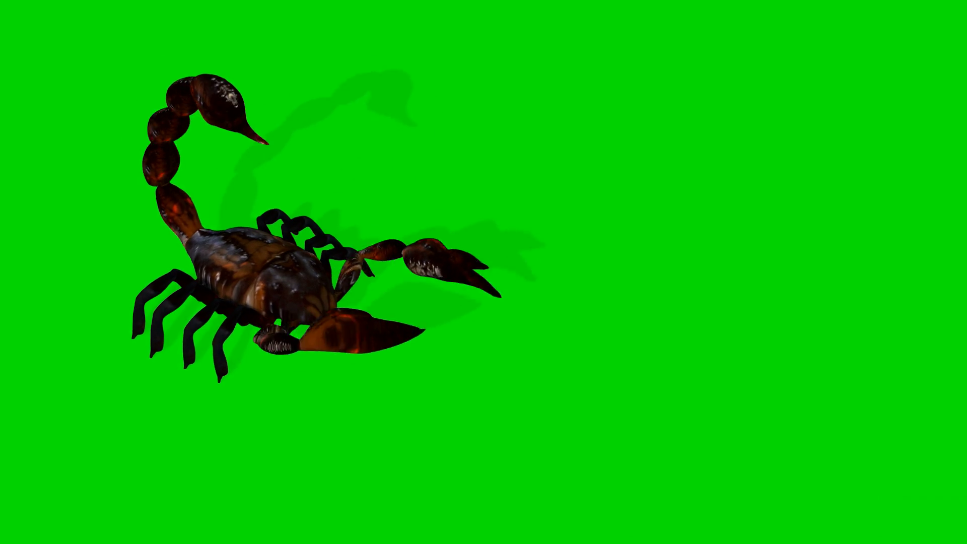 3d Rendering Animation Of Forest Scorpion In Stock Motion Graphics SBV ...