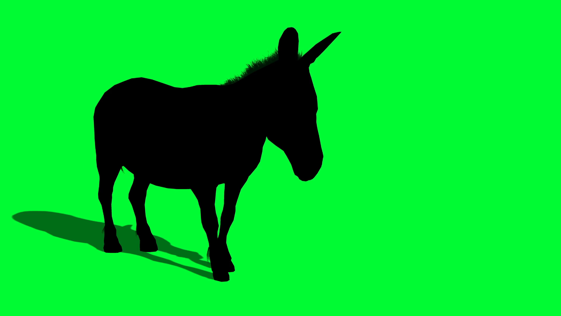 3d Animation Silhouette Of Donkey On Green Stock Motion Graphics SBV ...