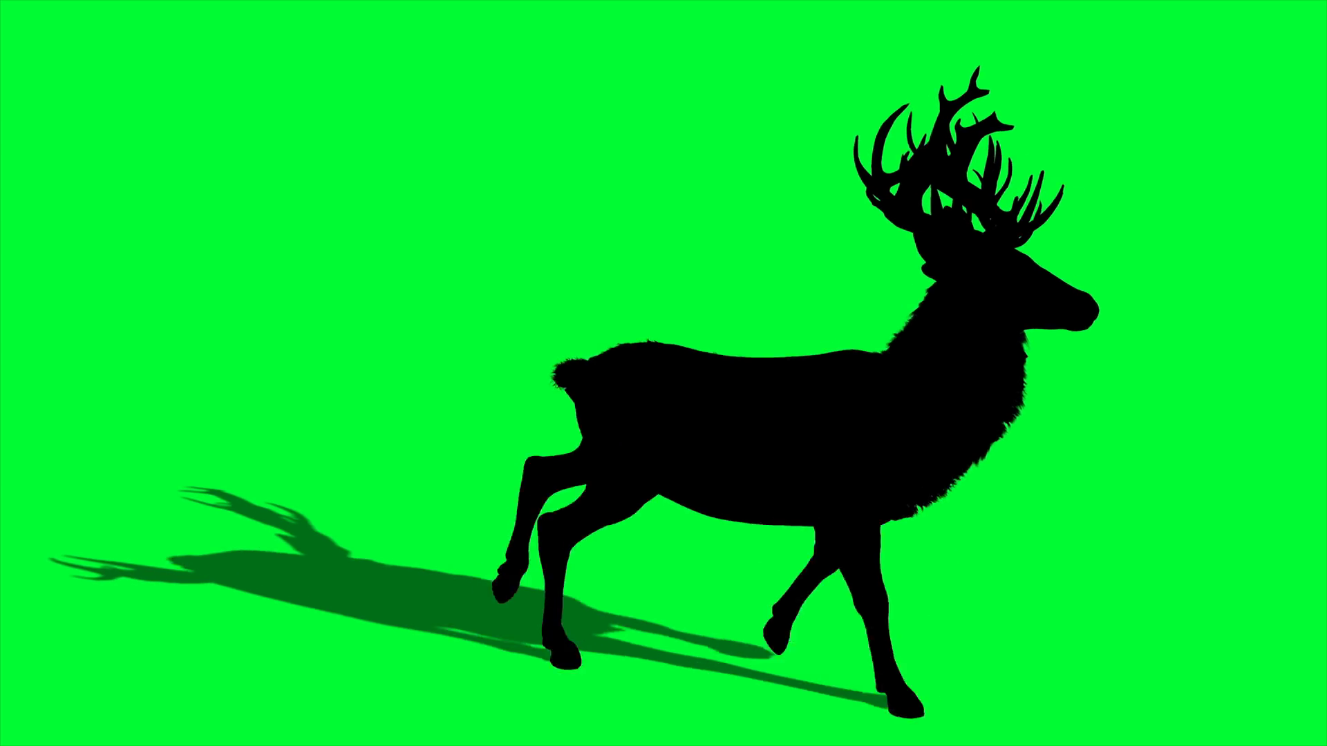 4k 3d animation silhouette of Deer on green screen Motion Background 00