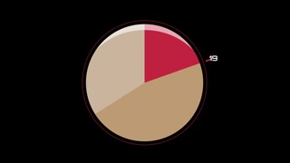 Animated infographic pie chart loading progress
