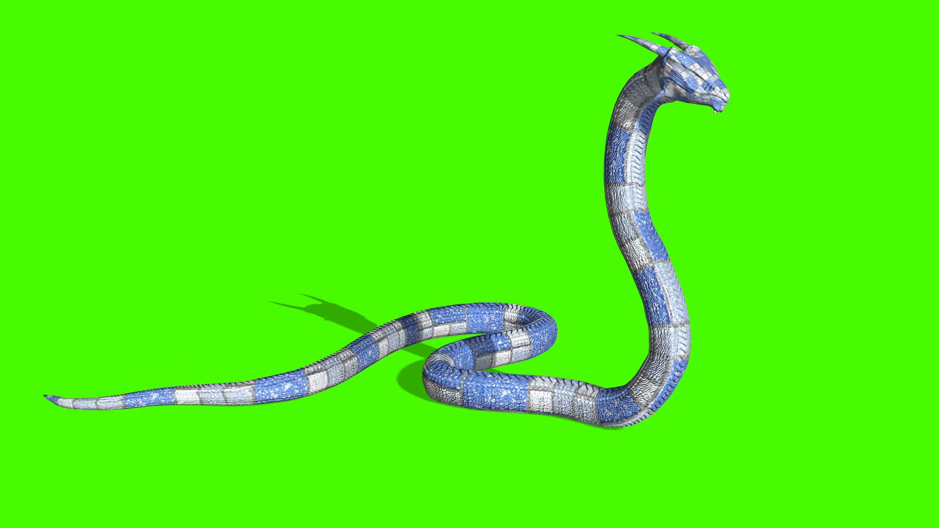 Animation Of Snake Attack - Python Green Stock Motion Graphics SBV ...