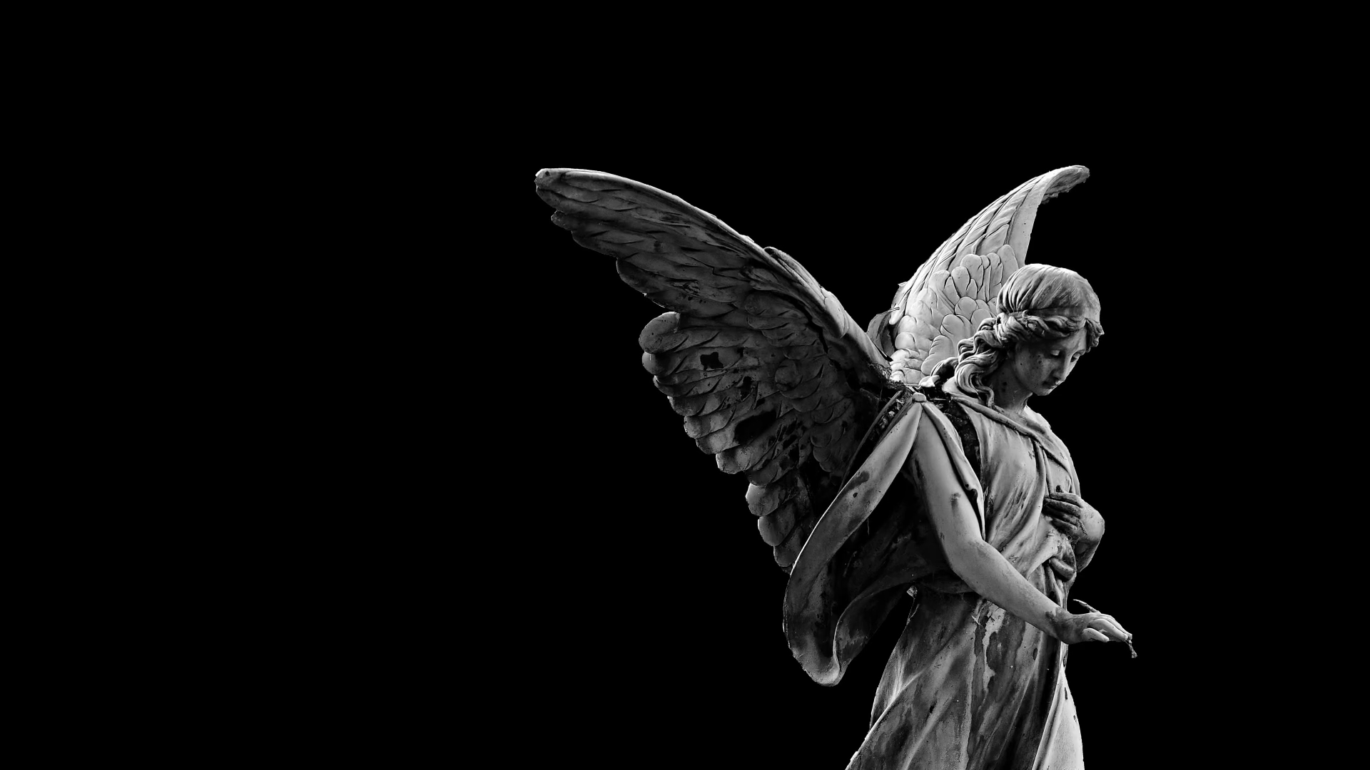 Animation Of Woman Angel Flapping With Wings Stock Motion Graphics SBV ...
