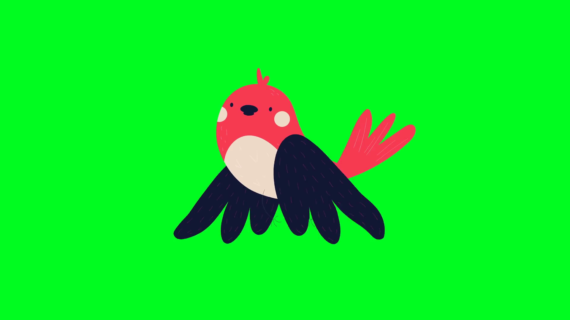 Bird Are Flying On Green Screen In Cartoon Stock Motion Graphics SBV