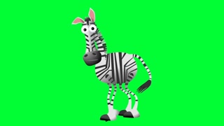 A cute animated cartoon zebra on a green screen looking around and interacting