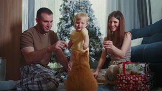 Young family decorating a christmas tree with their toddler and ginger cat, sitting on the floor in pajamas next to wrapped christmas