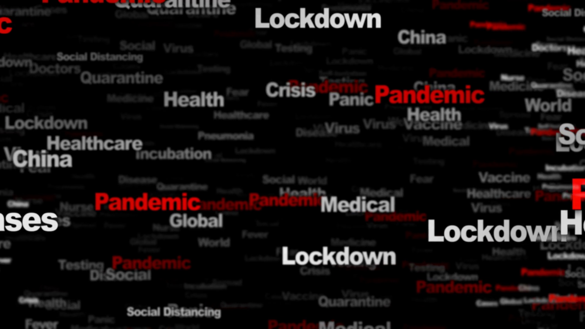 Vivid Pandemic Brainly Picture in 4K Vivid Pandemic Brainly Picture in 4K