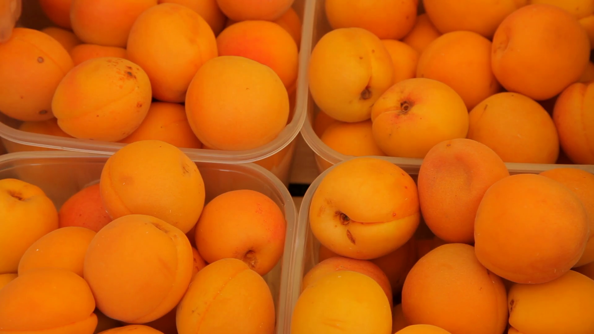 CU LD Ripe Apricots for Sale in Market / Venice, Italy Stock Video