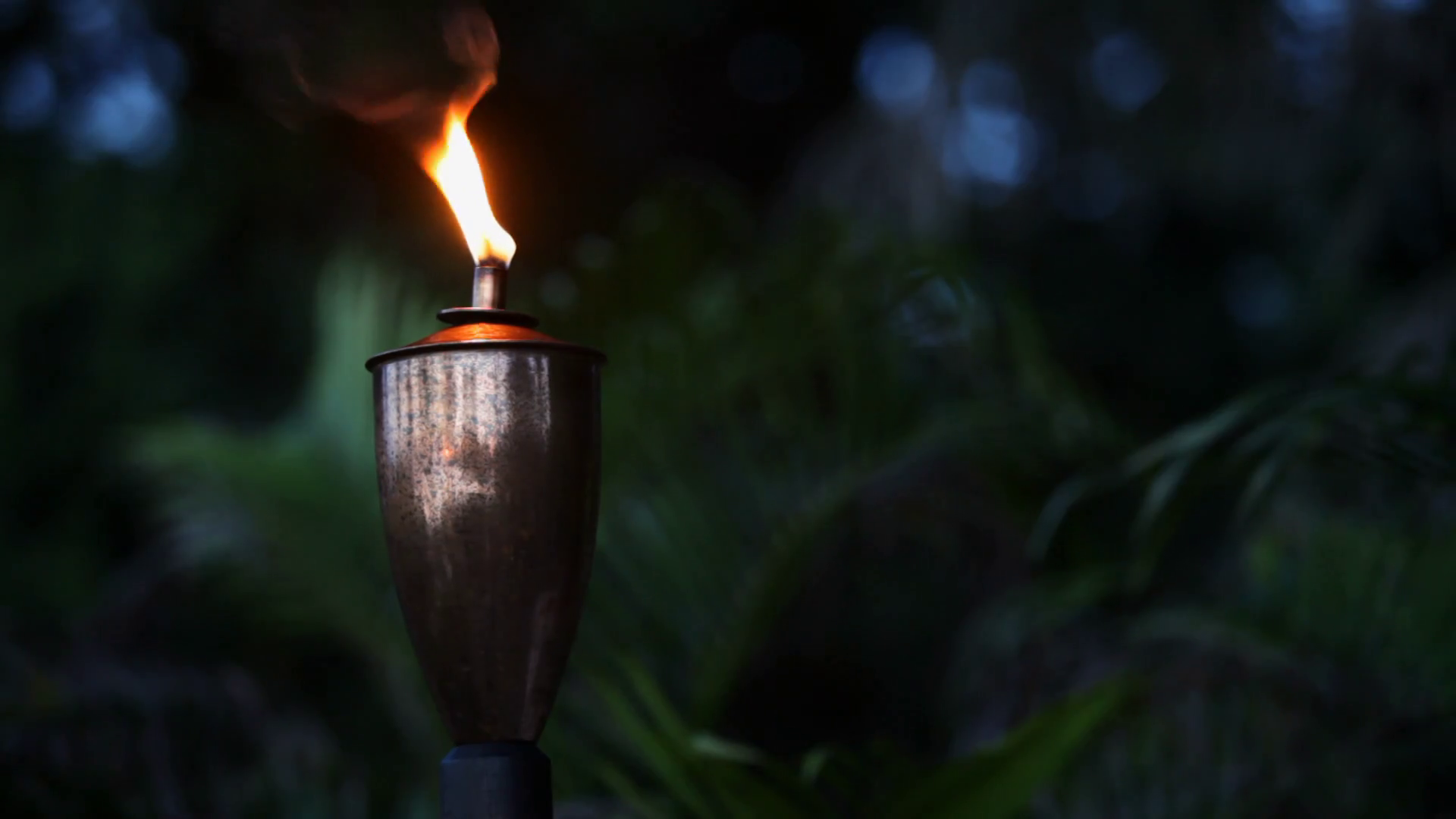 Cu Torch Burning In Forest At Night / Stock Footage SBV311475153