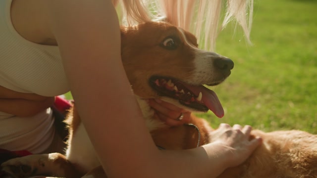 Woman Tongue Out Stock Footage: Royalty-Free Video Clips - Storyblocks