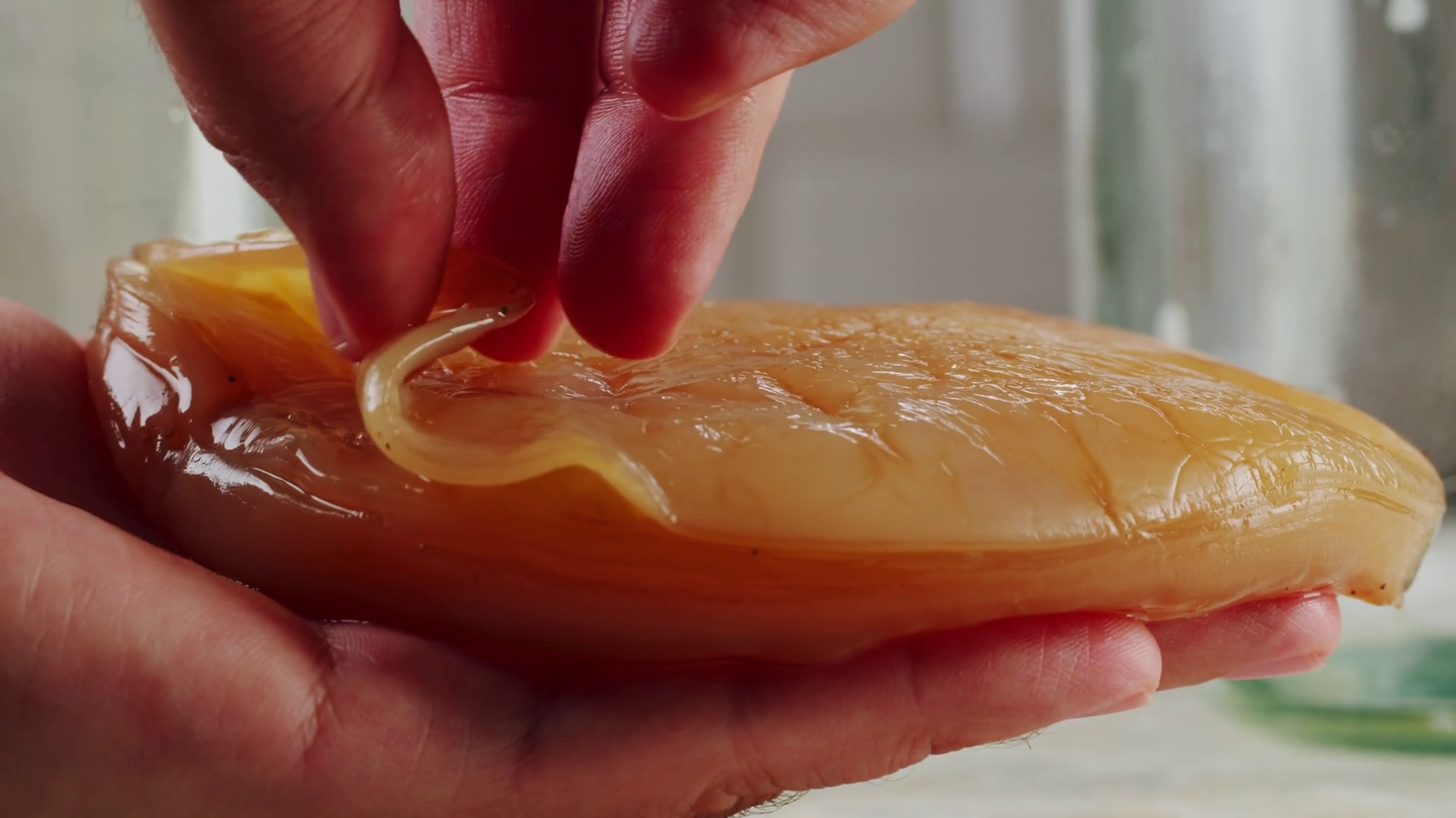 Kombucha Tea Scoby Fungus Homemade Kombucha Stock Footage SBV-352016445 ...