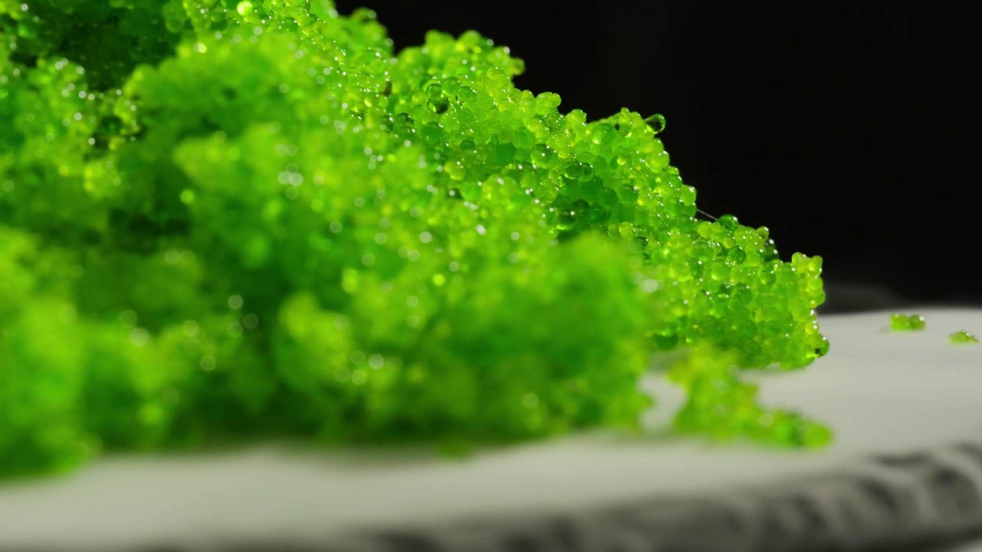 Tobiko Roe Flying Fish Roe Full Frame Macro Stock Footage SBV-352847079 ...