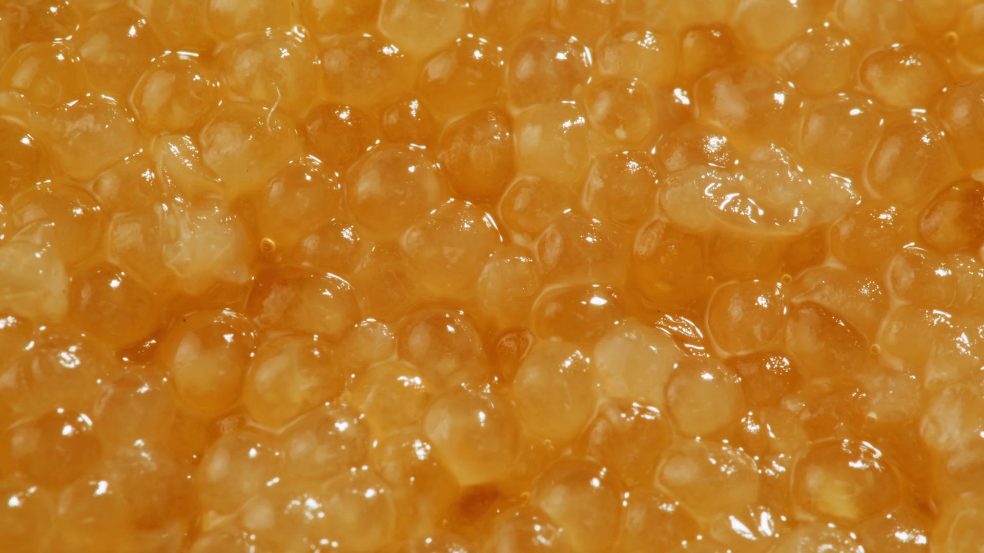 Tobiko Roe Flying Fish Roe Full Frame Macro Stock Footage SBV-352026675 ...